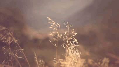 Sankta_Lucia_24